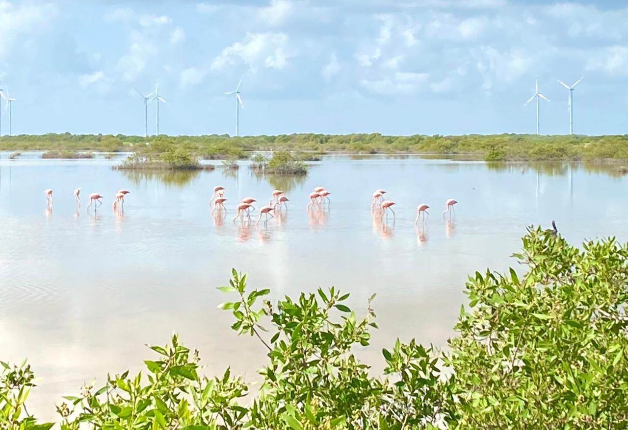 La Casa Del Mangle Villa Pueblo Pueblo Chicxulub Dış mekan fotoğraf