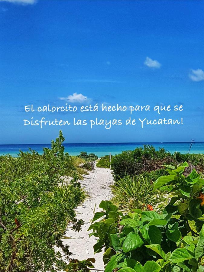 La Casa Del Mangle Villa Pueblo Pueblo Chicxulub Dış mekan fotoğraf