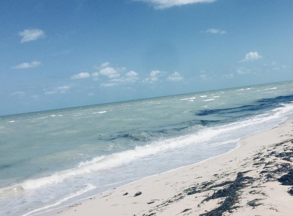 La Casa Del Mangle Villa Pueblo Pueblo Chicxulub Dış mekan fotoğraf